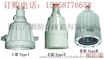 防爆视孔灯 BSD51系列防爆视孔灯